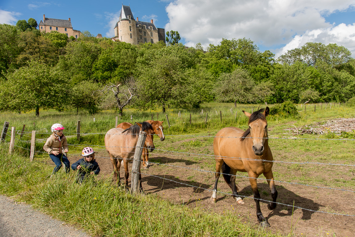 Sainte-Suzanne.. Le logis de Fouquet de la Varenne vue de la rivière.