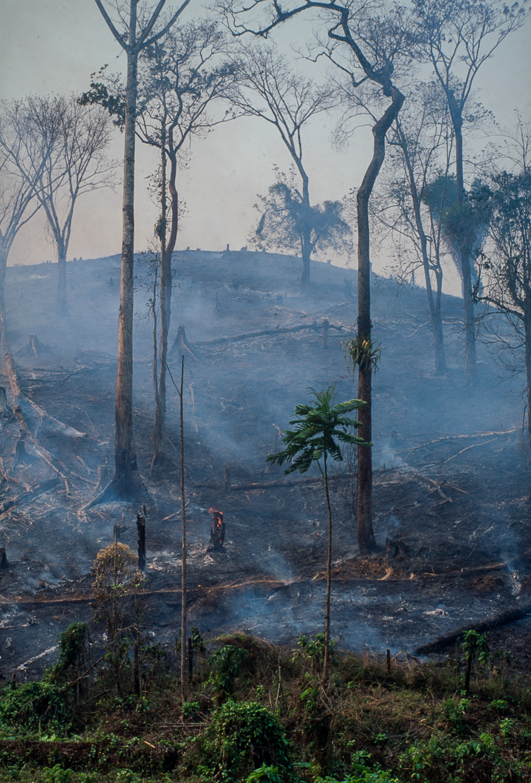 Rituels Mayas. La déforestation par des feux pose un sérieux problème aux populations locale. Elles souffrent d'un manque d'eau.