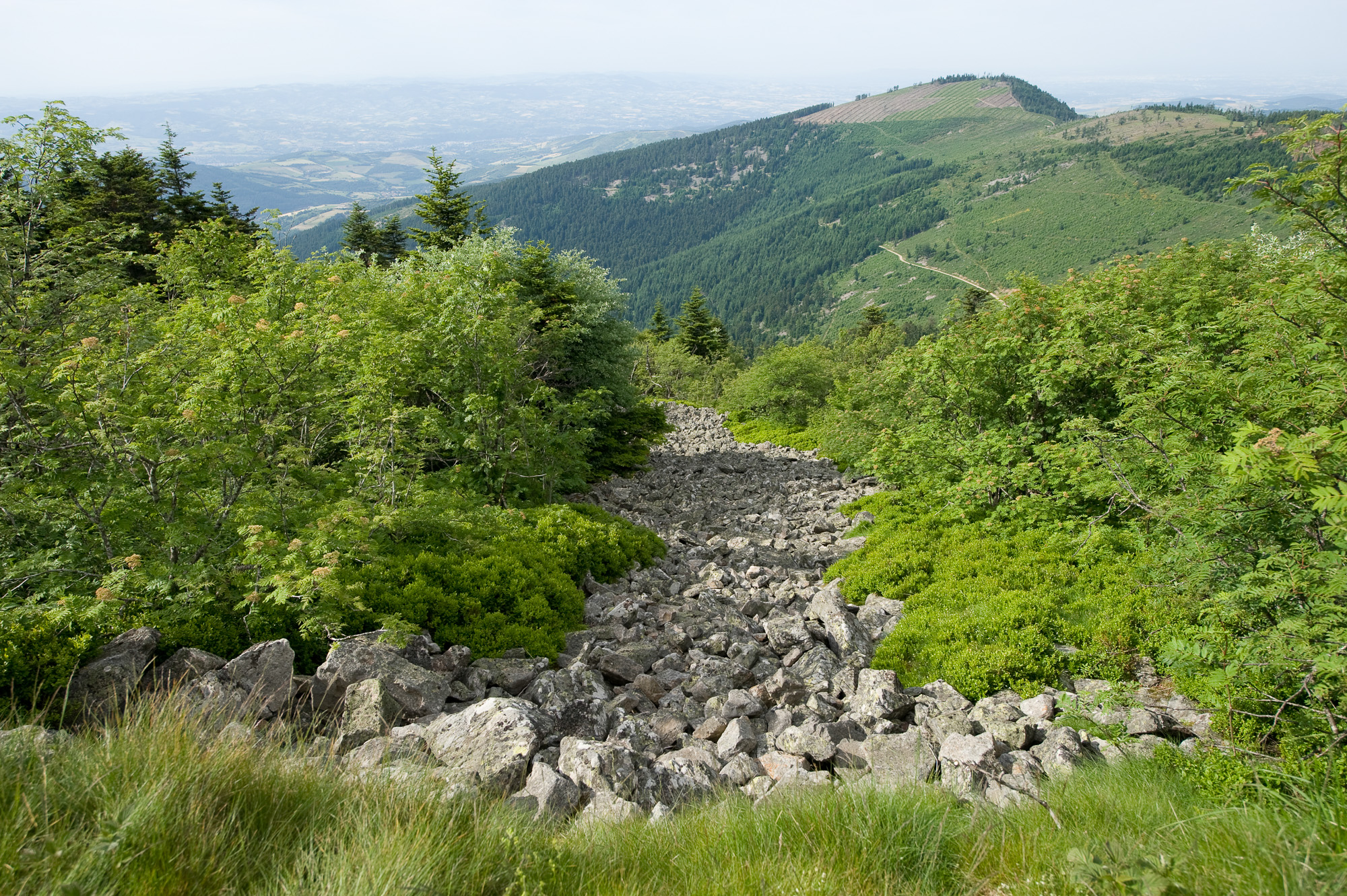 Pélussin. Crêt de L'œillon. Vue sur un chirat et la Vallée du Gier.