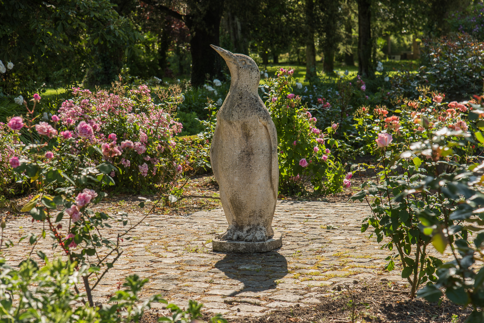 Le parc et le pingouin.